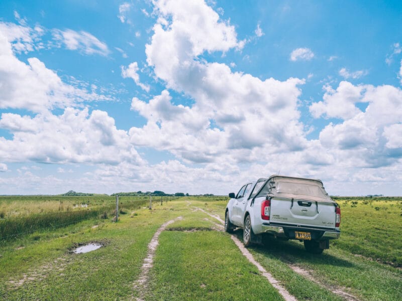 Immersion dans le Llano Profundo : six jours au cœur du Casanare sauvage