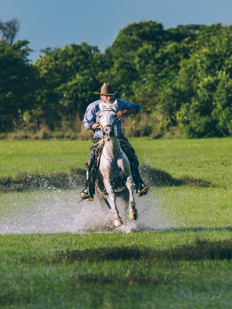 Immersion dans le Llano Profundo : six jours au cœur du Casanare sauvage
