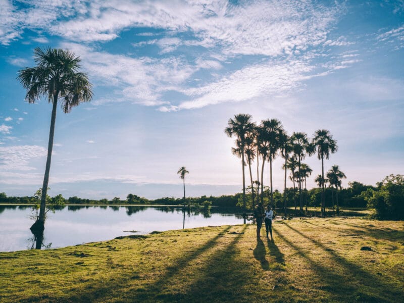 Immersion dans le Llano Profundo : six jours au cœur du Casanare sauvage