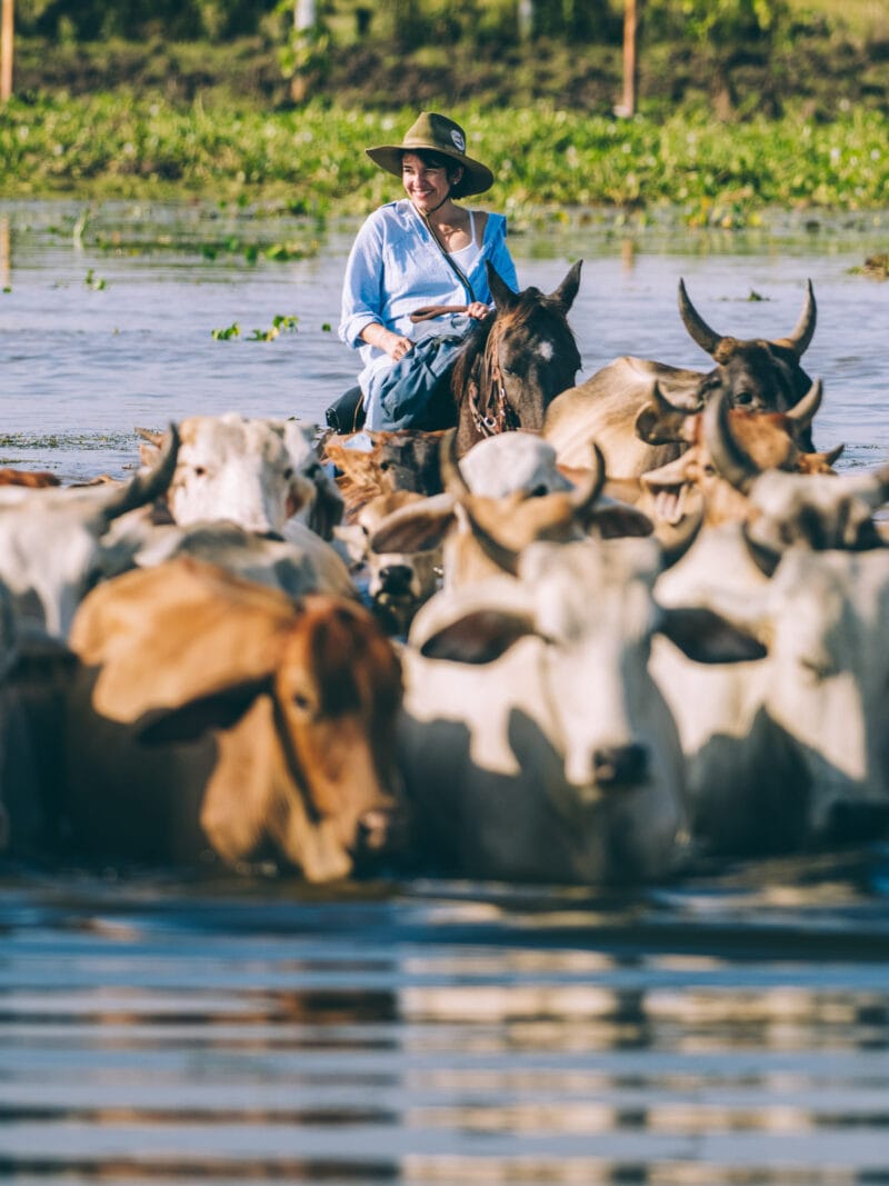 Immersion dans le Llano Profundo : six jours au cœur du Casanare sauvage