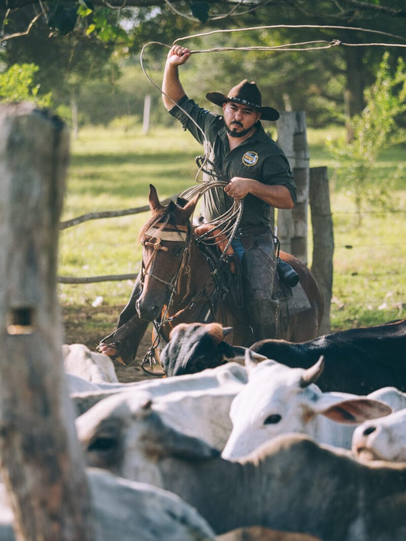 Immersion dans le Llano Profundo : six jours au cœur du Casanare sauvage