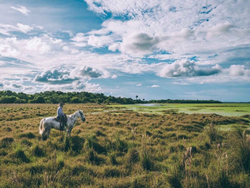 Immersion dans le Llano Profundo : six jours au cœur du Casanare sauvage