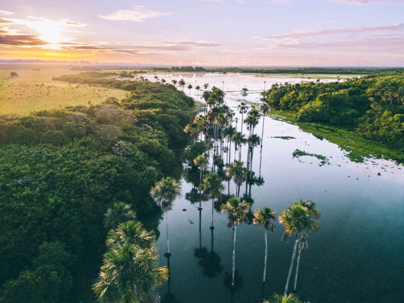 Immersion dans le Llano Profundo : six jours au cœur du Casanare sauvage