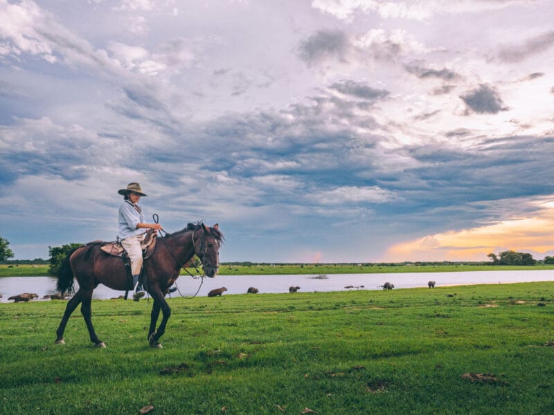 Préparer un séjour dans le Casanare : toutes les informations pratiques