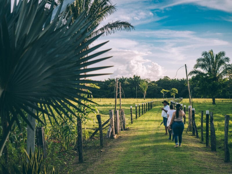 Préparer un séjour dans le Casanare : toutes les informations pratiques
