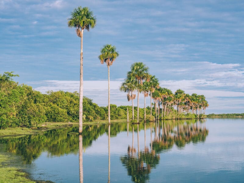 Préparer un séjour dans le Casanare : toutes les informations pratiques