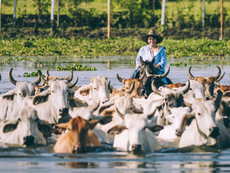Traversée à cheval dans le Casanare : parcourir les Llanos au rythme des llaneros