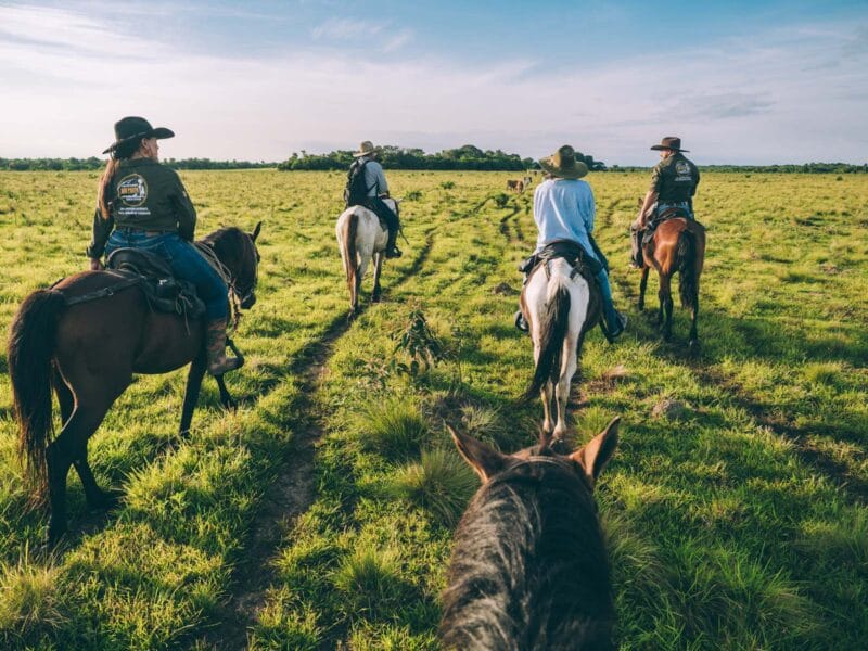 Traversée à cheval dans le Casanare : parcourir les Llanos au rythme des llaneros