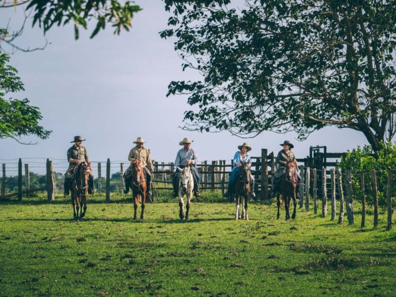 Traversée à cheval dans le Casanare : parcourir les Llanos au rythme des llaneros