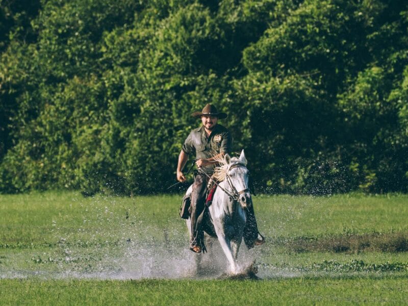Traversée à cheval dans le Casanare : parcourir les Llanos au rythme des llaneros