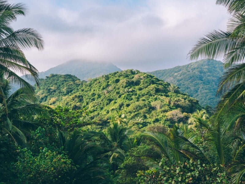 Le parc Tayrona, un écosystème unique en Colombie pour observer la faune