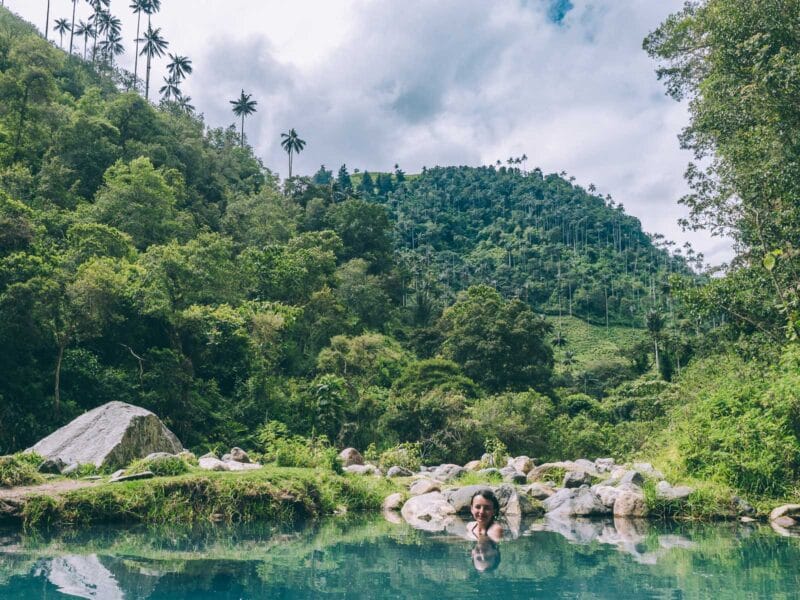 Où voir les palmiers de cire en Colombie : bien au delà de Cocora