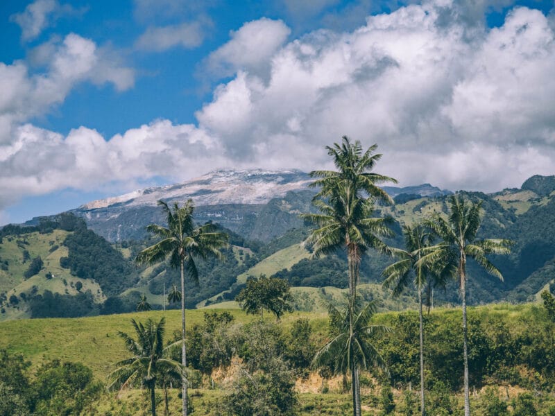 Où voir les palmiers de cire en Colombie : bien au delà de Cocora