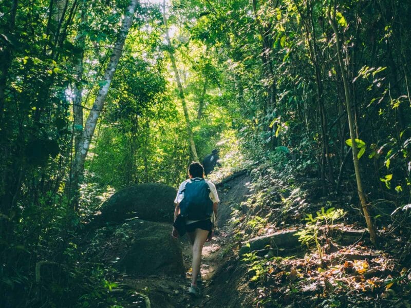 Sur le sentier du trek au Parc Tayrona