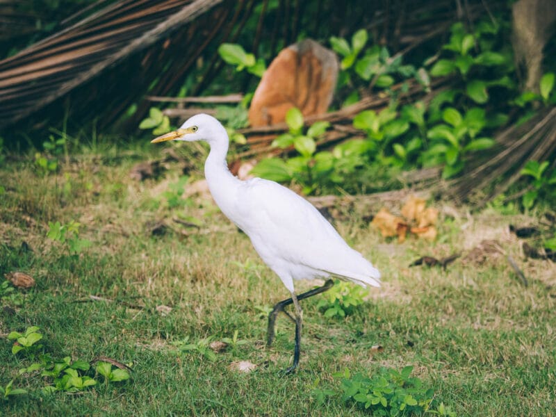 Trek de 2 jours au Parc Tayrona : de Calabazo à El Zaino