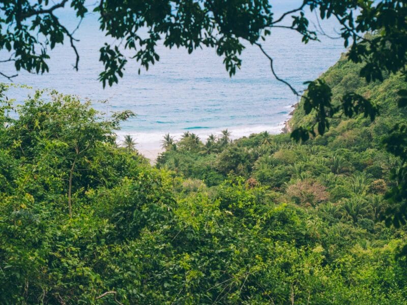 Vue sur la mer depuis le sentier du Parc Tayrona