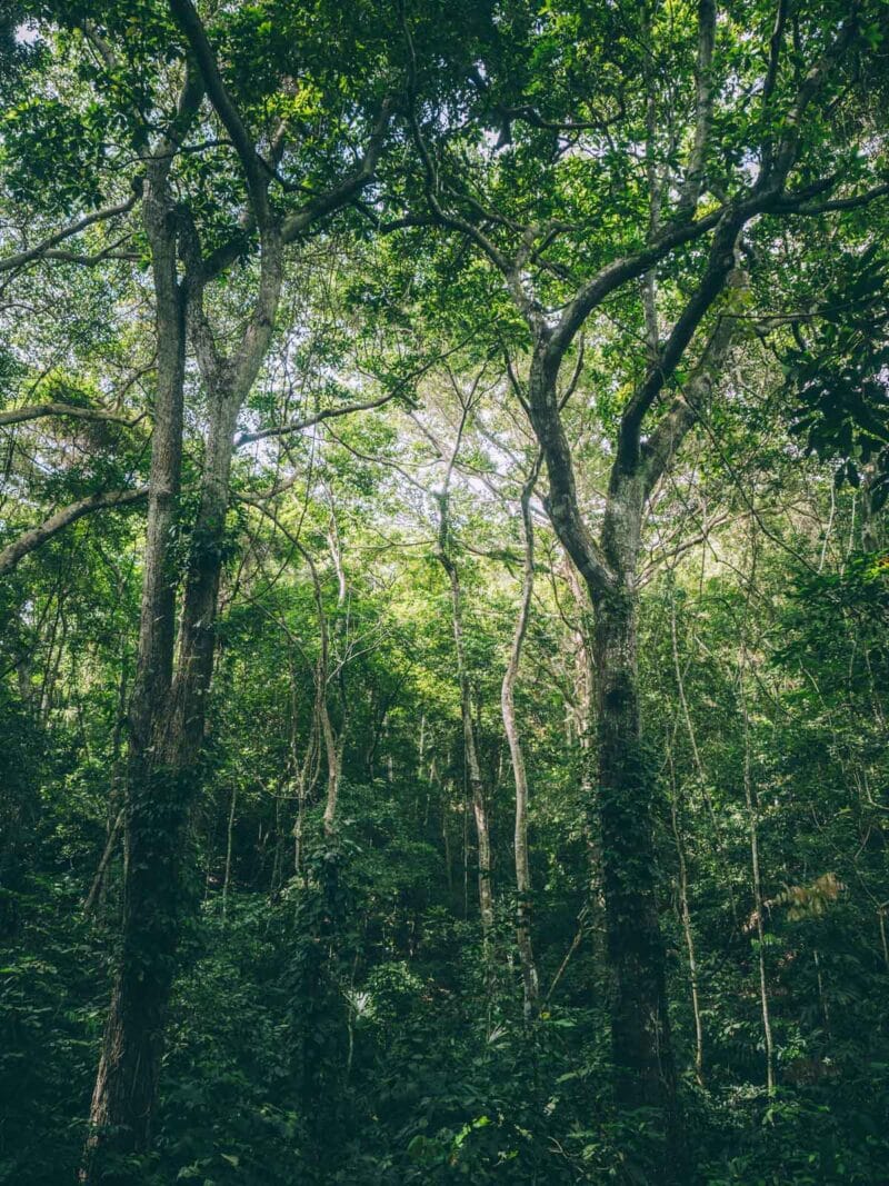 Trek de 2 jours au Parc Tayrona : de Calabazo à El Zaino