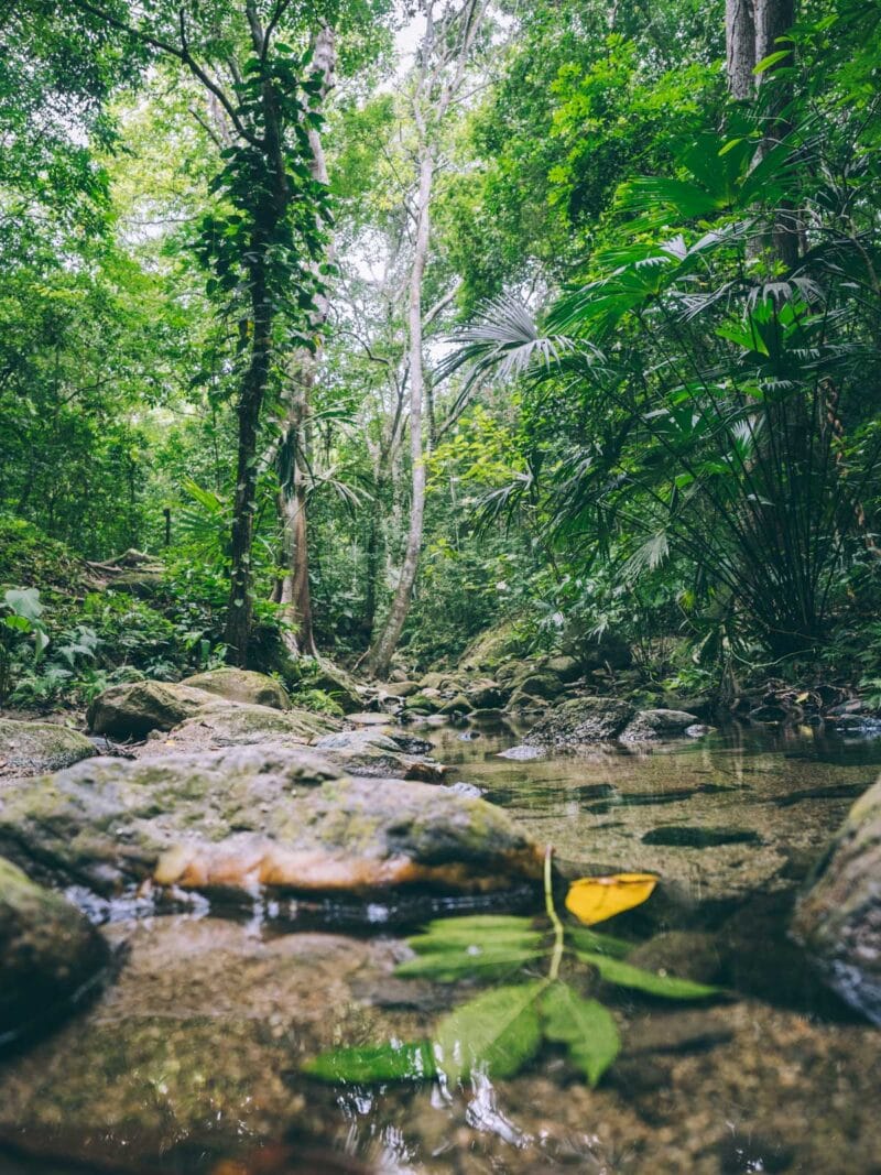 Trek de 2 jours au Parc Tayrona : de Calabazo à El Zaino