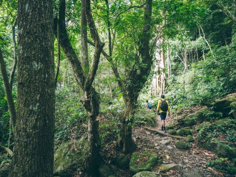 Sentier de Playa Brava à Cabo San Juan au Parc Tayrona