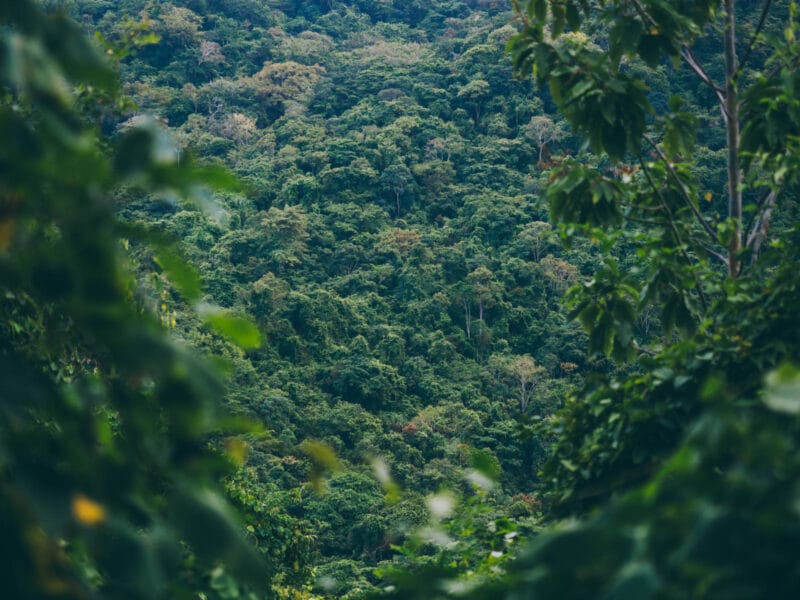 Trek de 2 jours au Parc Tayrona : de Calabazo à El Zaino