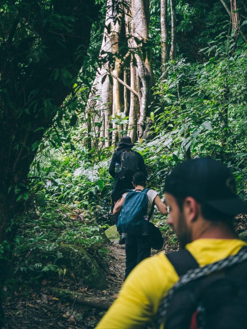 Sur le sentier entre Playa Brava et Cabo San Juan au Parc Tayrona