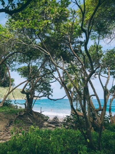 Arrivée sur les plages du Parc Tayrona