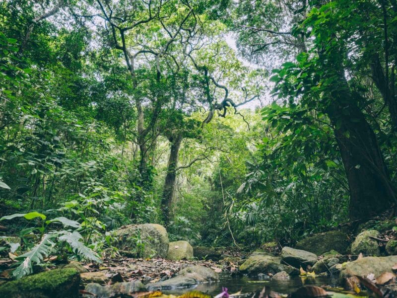 Trek de 2 jours au Parc Tayrona : de Calabazo à El Zaino via Playa Brava et Cabo San Juan