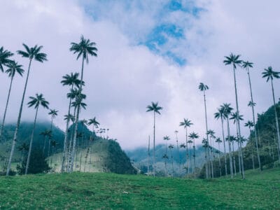 Vallée de Cocora : le trek vaut il (vraiment) le coup ?