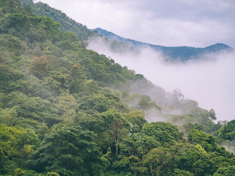 Visiter Minca, Sierra Nevada de Santa Marta