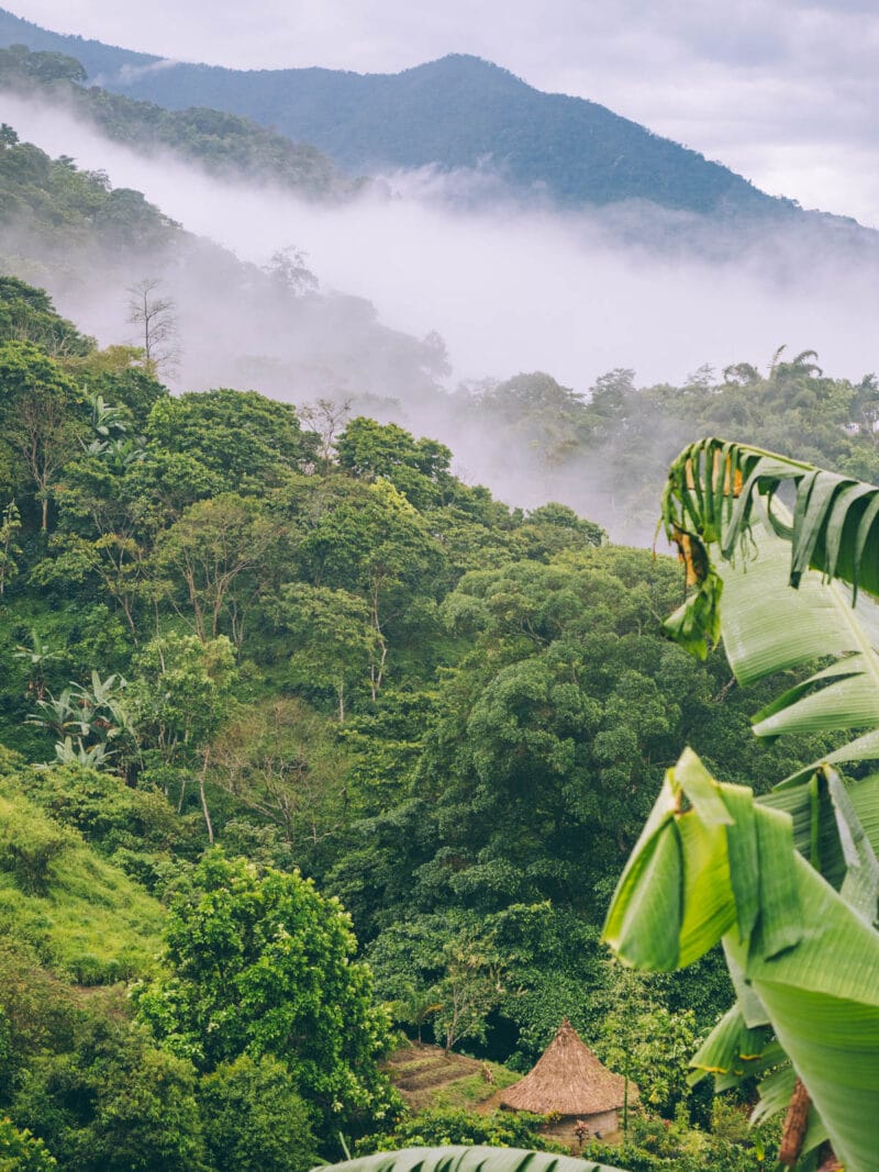 Visiter Minca, Sierra Nevada de Santa Marta