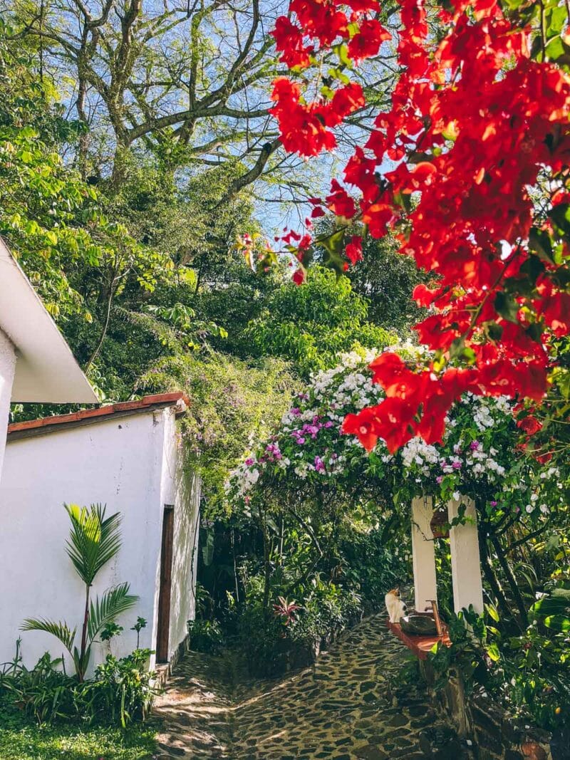 Visiter Minca, Sierra Nevada de Santa Marta