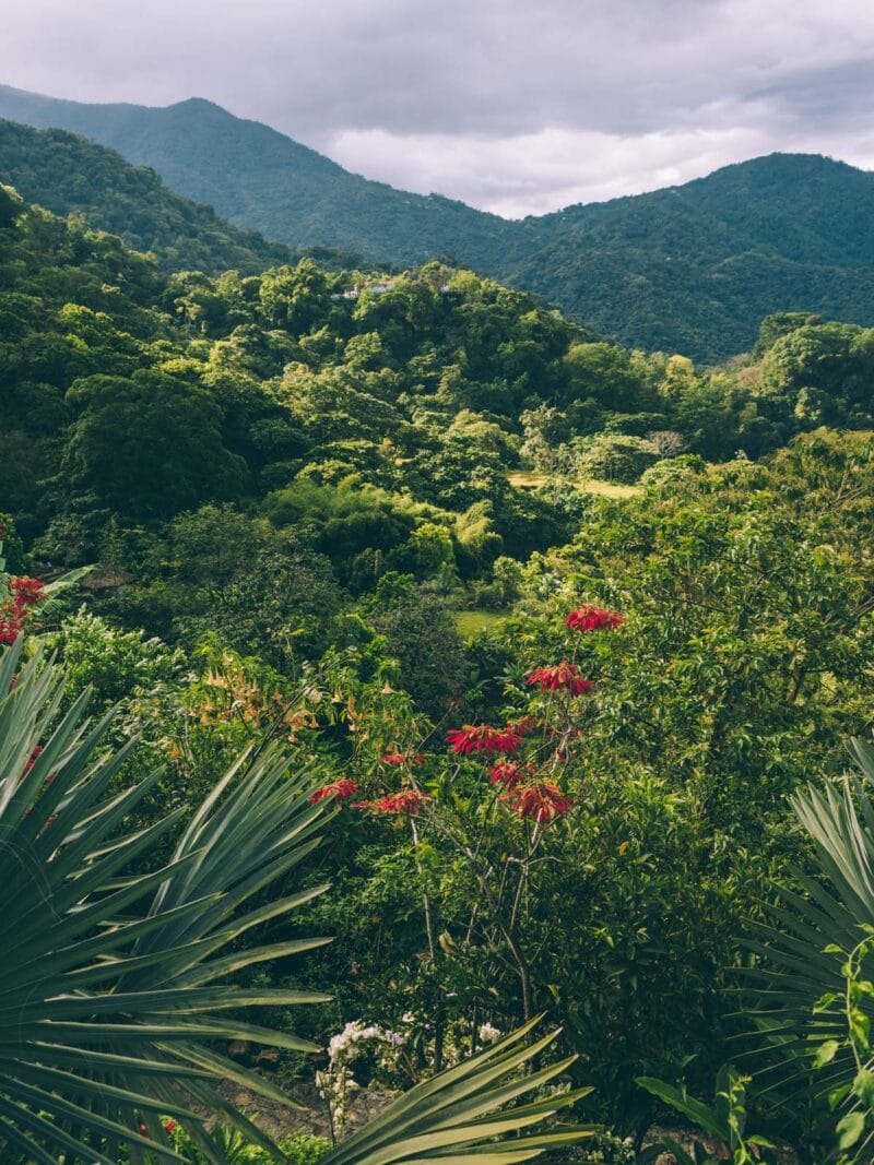 Visiter Minca, Sierra Nevada de Santa Marta