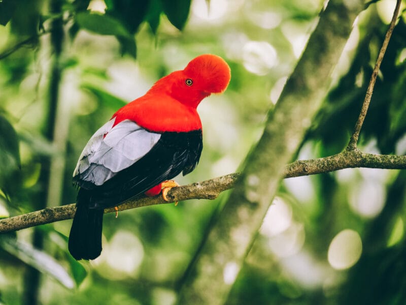 Visiter Jardín (Antioquia) : que faire dans ce village colonial