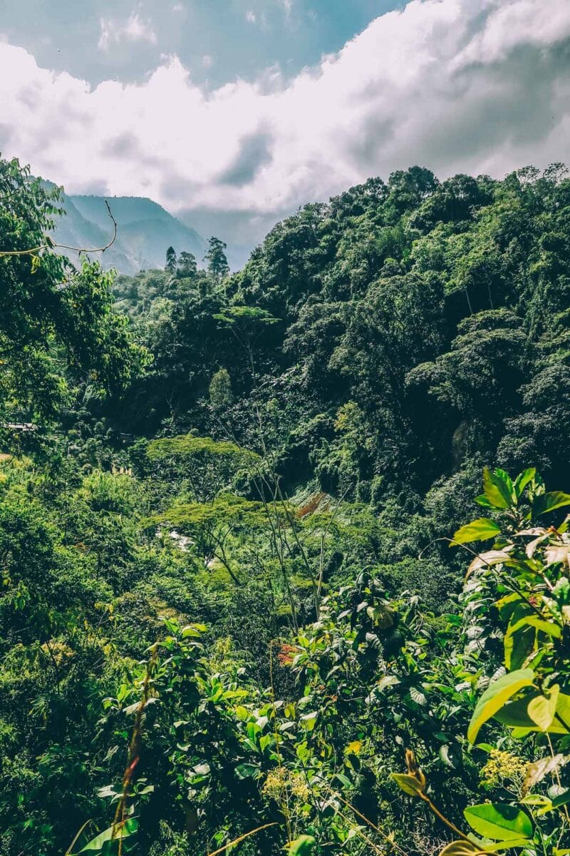 Visiter Jardín (Antioquia) : que faire dans ce village colonial