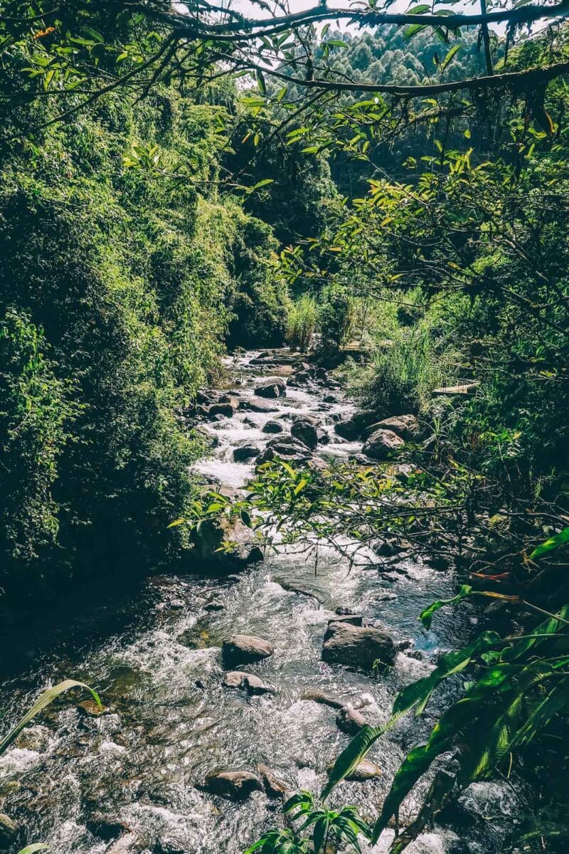 Visiter Jardín (Antioquia) : que faire dans ce village colonial
