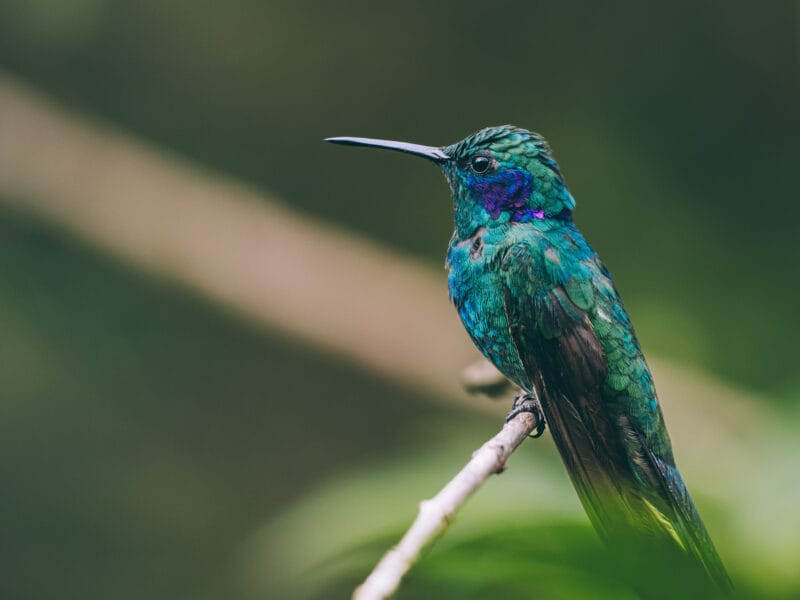 Visiter le Boyacá en Colombie : que faire, quand partir