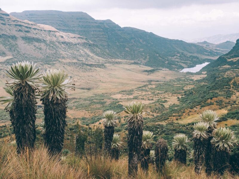 Visiter le Boyaca, toutes les infos pratiques