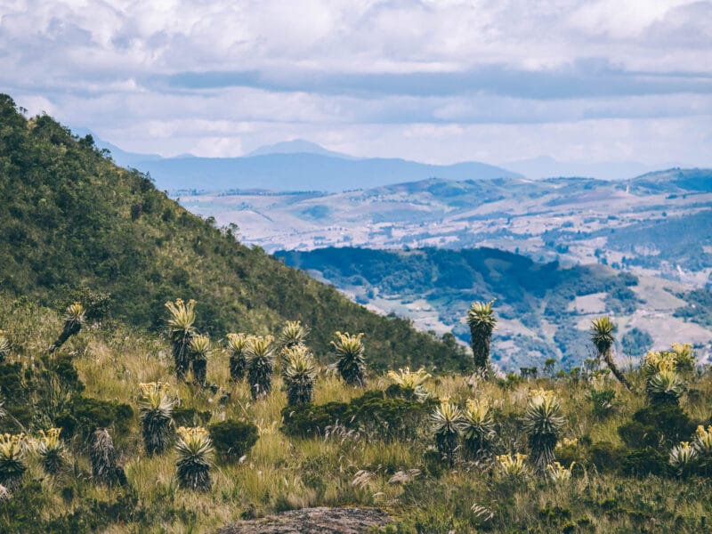 Guide local pour une randonnée au Parc naturel de Iguaque