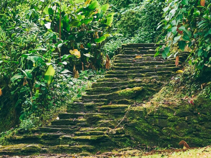 Trek de la Cité Perdue, guide de Ciudad Perdida en Colombie